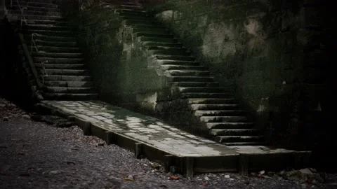 Old wall and stairs covered in moss Stock Footage 131663669