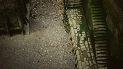Old wall and stairs covered in moss Stock Footage 133850966