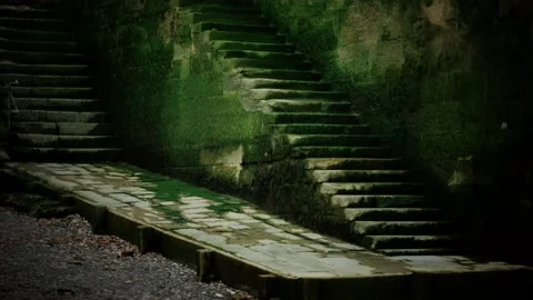 Old wall and stairs covered in moss 库存影片 135920145