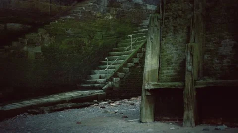 Old wall and stairs covered in moss 動画素材 135920281