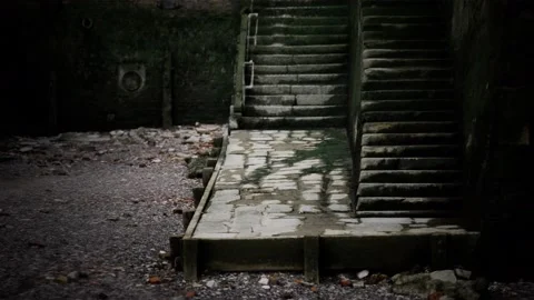 Old wall and stairs covered in moss Vidéo 138935736