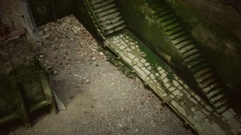 Old wall and stairs covered in moss Vidéo 138936328