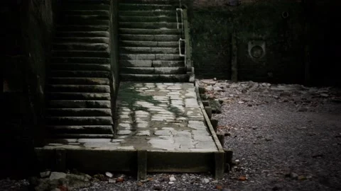 Old wall and stairs covered in moss Vidéo 140467177