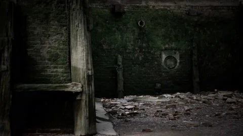Old wall and stairs covered in moss Stock Footage 142084713