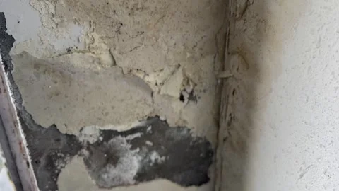 Old wall and window Stock Footage 323103060