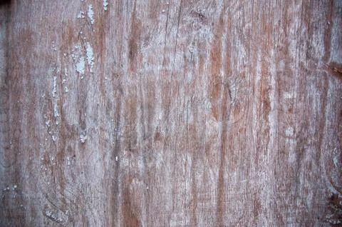 Old wall background close up. concrete wall texture . Textured stone sandstone Stock Photos