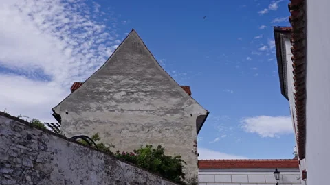 Old Wall, Blue Sky, and a Hint of Flowers Stock Footage 313387877