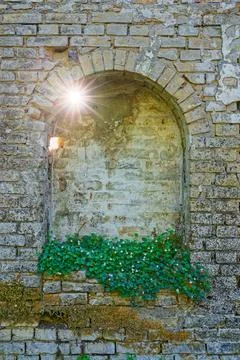 Old wall with bricked arch window, sunlight and climbing clover plant bloss.. Stock Photos
