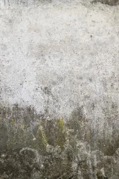 Old wall with damp Stock-Fotos