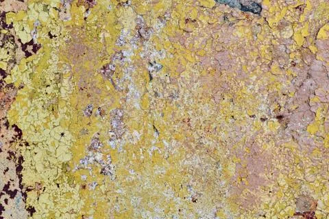 Old wall with falling off paint and plaster. A few cracks. Stock Photos