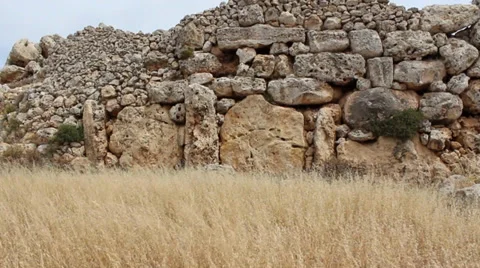 Old Wall With Long Dead Grass Stock Footage 36465059