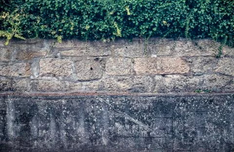 Old wall with moss Stock Photos