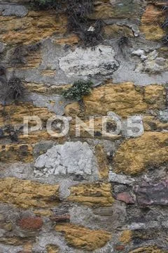 Old wall overgrown with grass Stock Photos