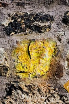 Old wall with paint Stock Photos
