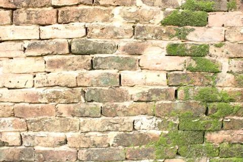 Old wall Stock Photos