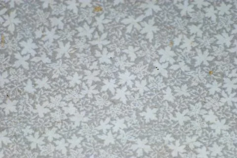 Old wall Stock Photos