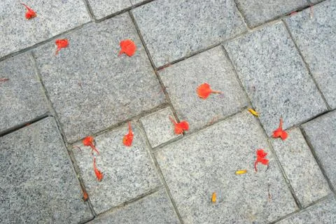 Old wall Stock Photos