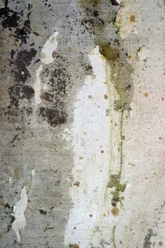 Old wall Stock Photos