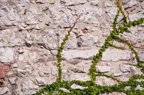 Old wall Stock Photos