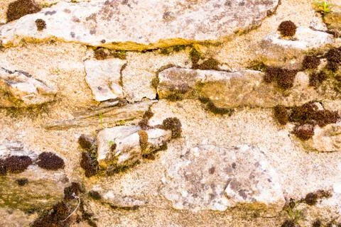 Old wall. Stock Photos