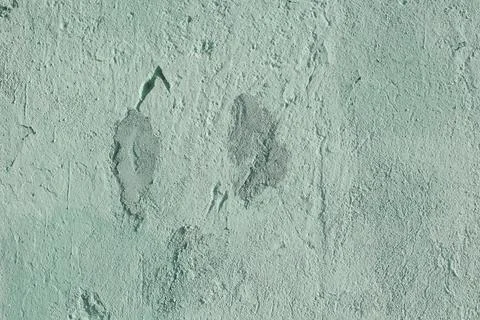 Old wall Stock Photos