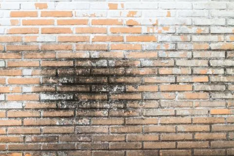 Old Wall from a red brick Stock Photos
