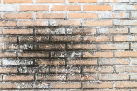 Old Wall from a red brick Foto stock