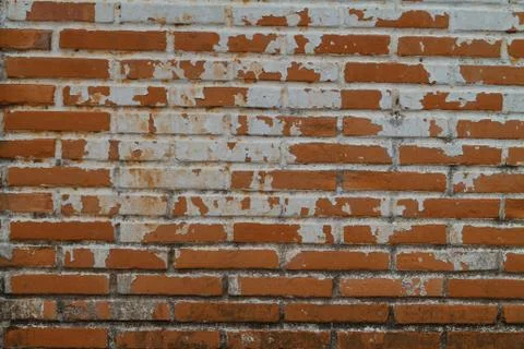 Old Wall from a red brick Stock Photos