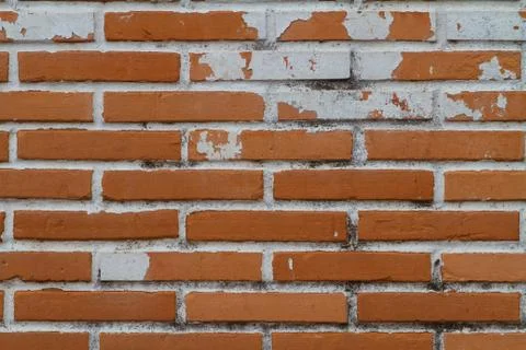 Old Wall from a red brick Stock Photos