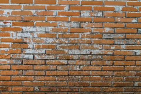 Old Wall from a red brick Stock Photos