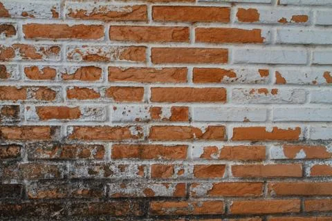 Old Wall from a red brick Stock Photos
