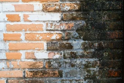 Old Wall from a red brick Stock Photos