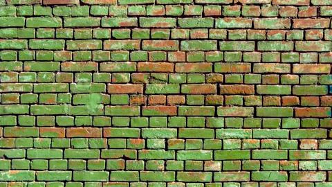 Old wall with red bricks painted in green. Foto stock
