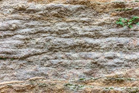 The old wall of sand texture background Stock Photos