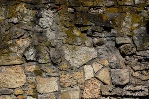 Old wall of stone shell rock of arbitrary shape.2 Stock Photos