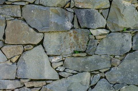 Old wall of stone shell rock of arbitrary shape.2 Stock Photos