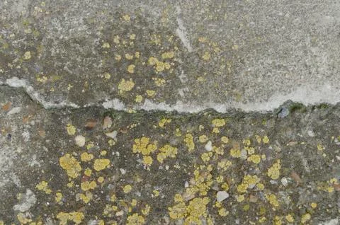 Old Wall Texture 2 Stock Photos