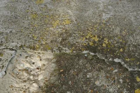 Old Wall Texture 3 Stock Photos