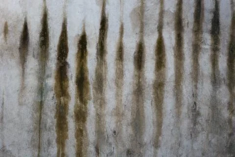 Old wall texture with dirt and scratches	 Stock Photos