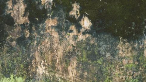 Old wall texture with moss and water streaks close-up . Vintage texture of ol 스톡 사진