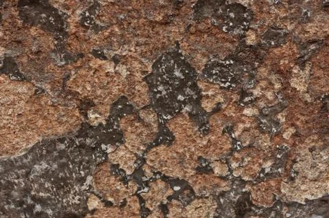 Old wall texture Photos