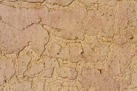 Old wall texture Фото
