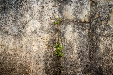 Old wall texture Stock Photos