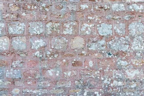 Old wall texture Stock Photos