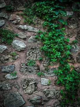Old wall textures for background. High quality photo Foto stock