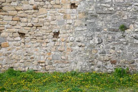 Old wall of white stone with grass down copy space Stock Photos