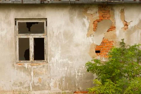 Old wall with window and shrub Stock Photos