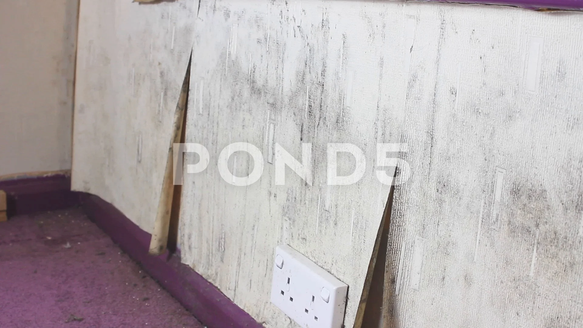 Damp - Spotting the signs - Approved Plastering Systems