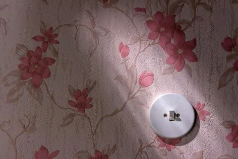 Old wallpaper with light switch Stock Photos