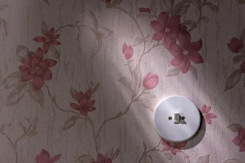 An old wallpaper with light switch. Symbolic photo for renewal and renovation. Stock Photos